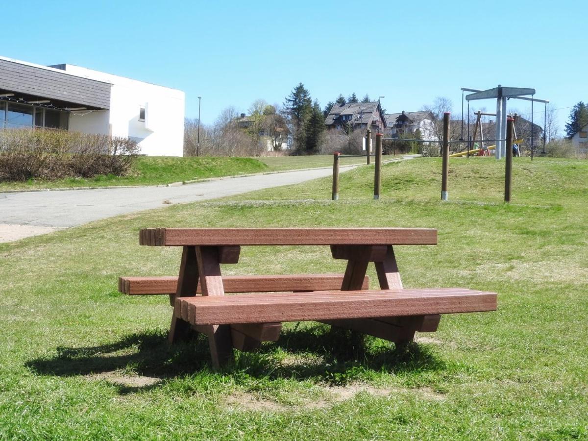 Appartement Zum Kuckuck Noch Mal Hohegeiß Extérieur photo